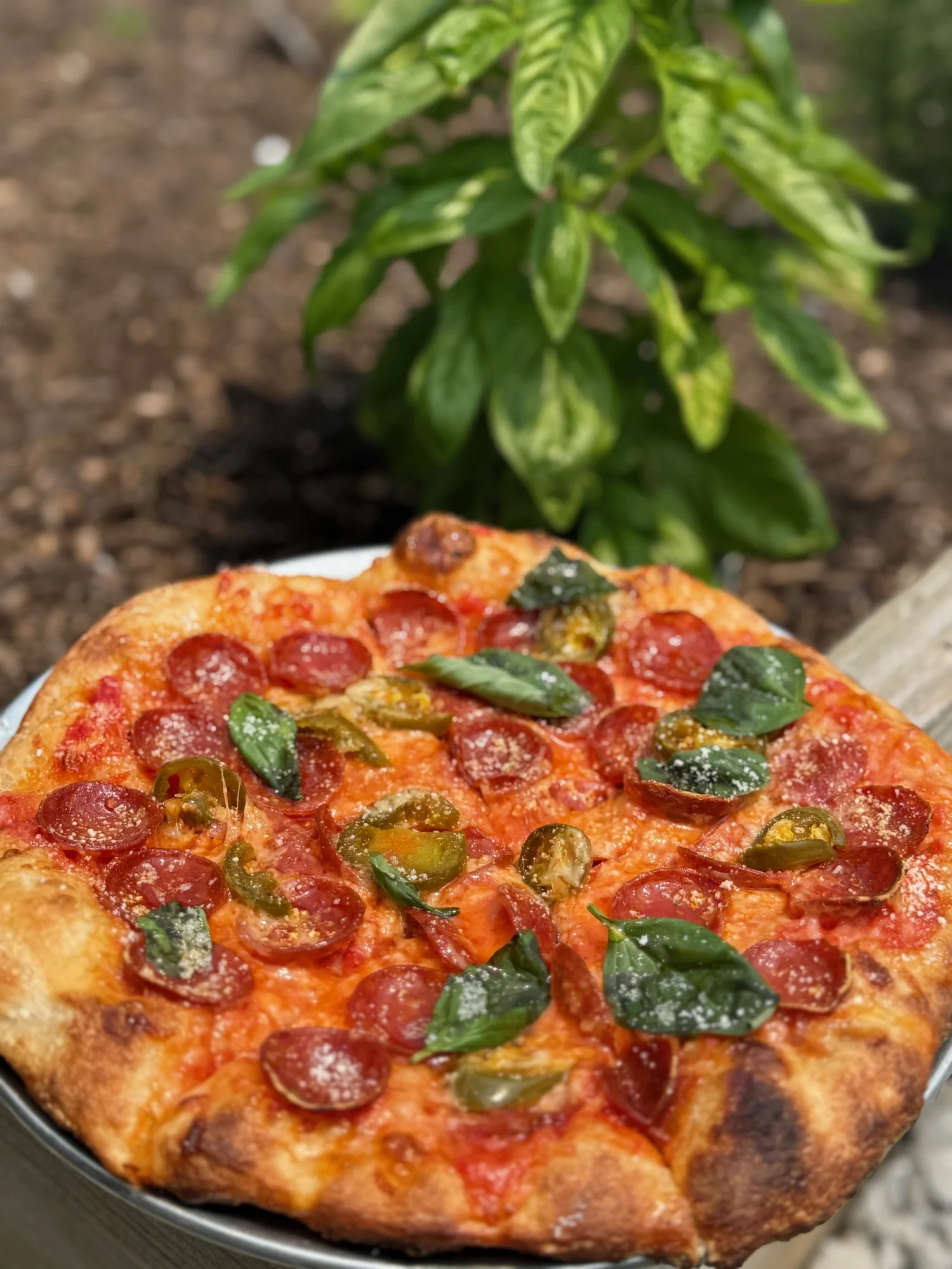 Hot honey pepperoni sourdough pizza from Slice N Dice